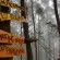 Amazing Puncak Lawang